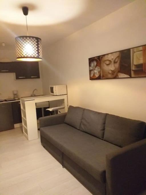 Studio Meuble Wifi A Proximite Du Tram Castelnau-le-Lez Eksteriør billede