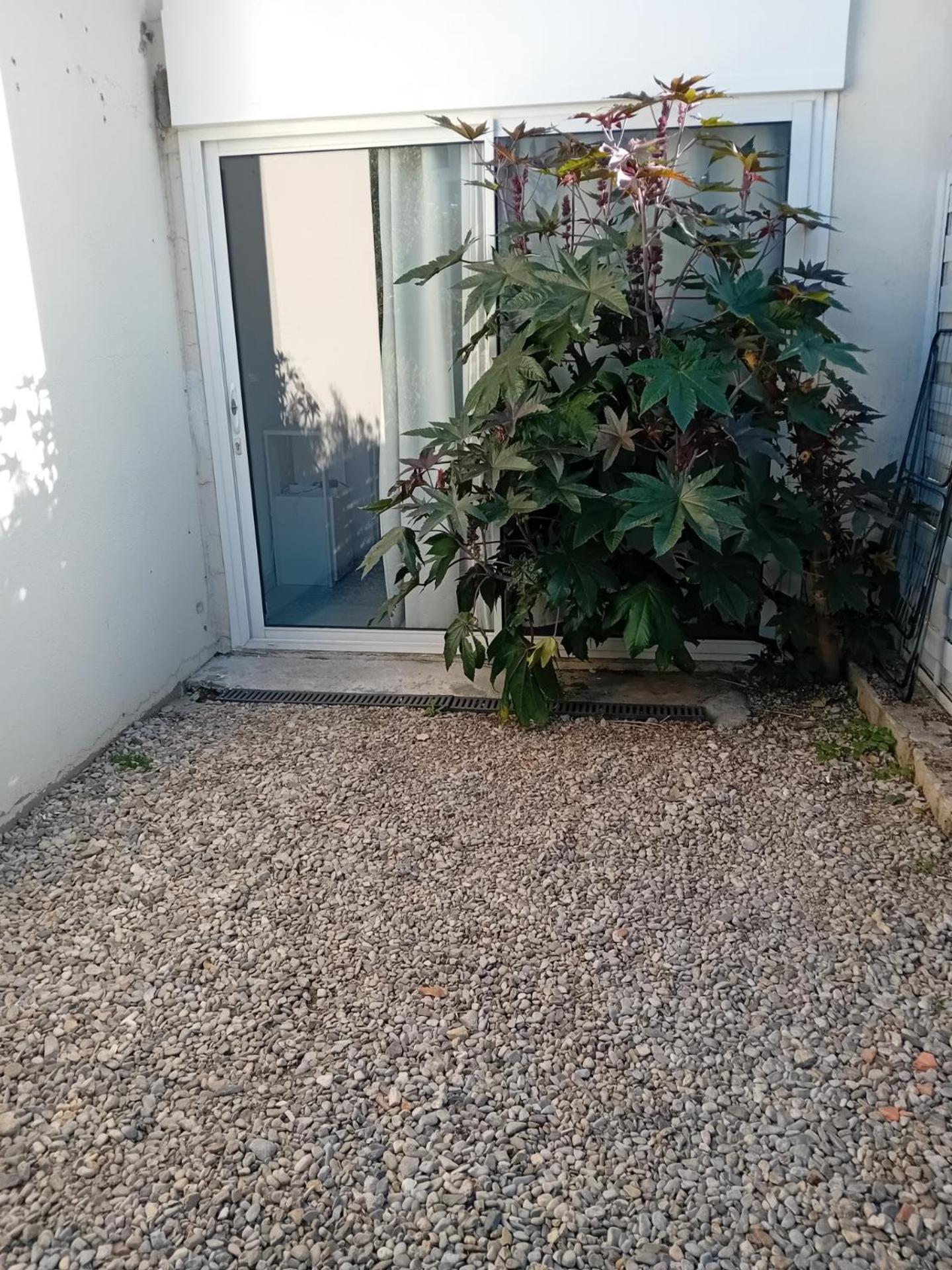 Studio Meuble Wifi A Proximite Du Tram Castelnau-le-Lez Eksteriør billede